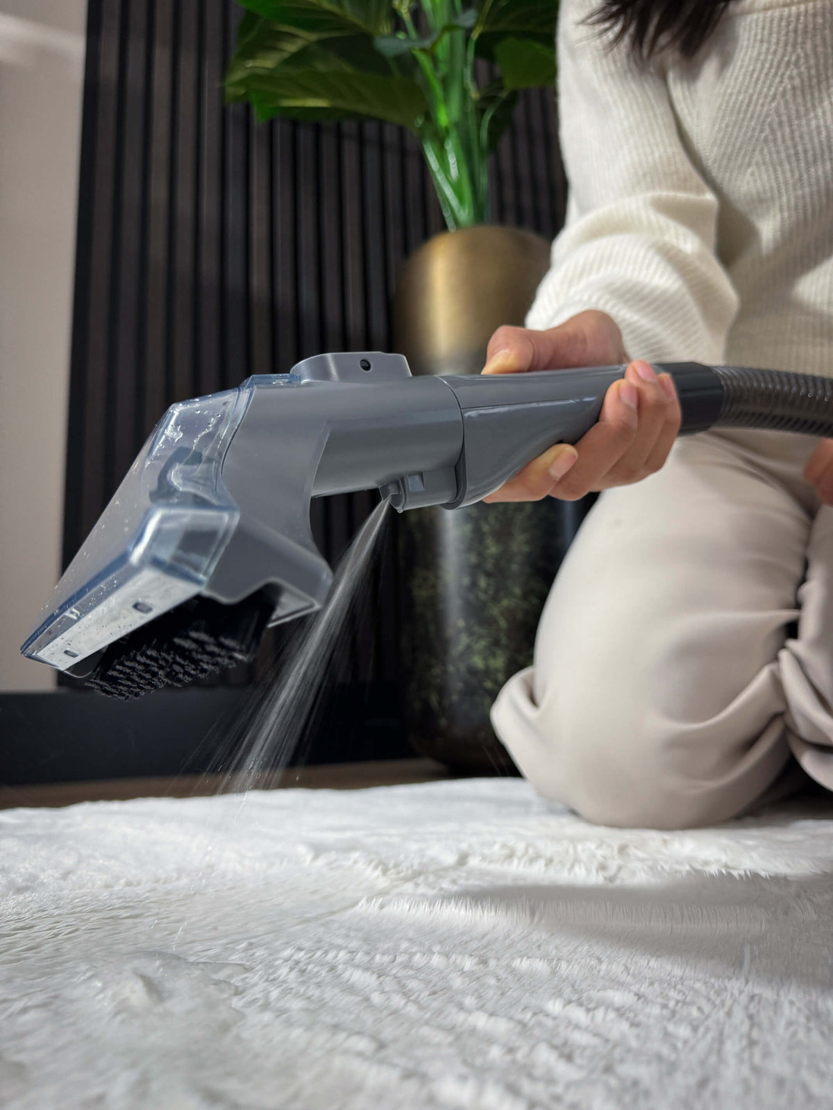 Rova Plus — Aspiradora limpiatapicerías, imagen 2